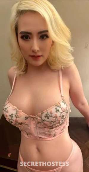 Abbie 28Yrs Old Escort Darwin Image - 1