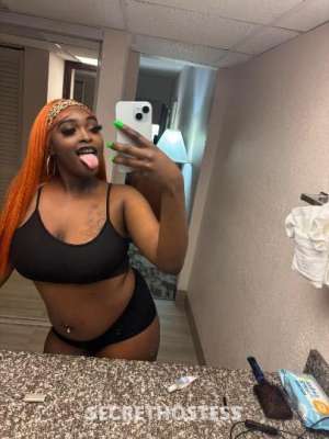 Nyy 18Yrs Old Escort Jacksonville FL Image - 4