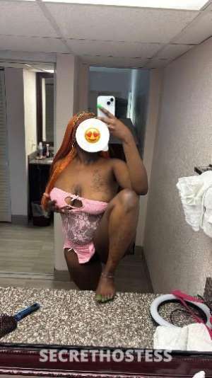 Nyy 18Yrs Old Escort Jacksonville FL Image - 5