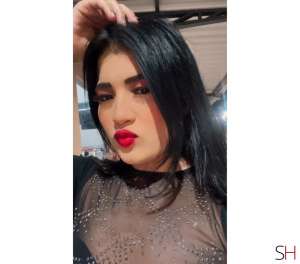 23 year old White Escort in Primavera Do Leste Mato Grosso 23Yrs Old White Escort Mato Grosso