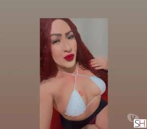 25 year old White Escort in Presidente Prudente Sao Paulo 25Yrs Old White Escort Sao Paulo