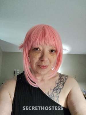 43Yrs Old Escort Hamilton Image - 3
