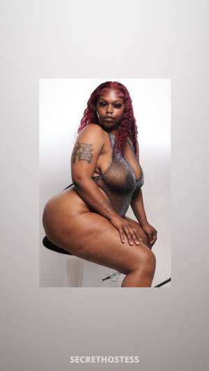 Kayla 25Yrs Old Escort San Jose CA Image - 2