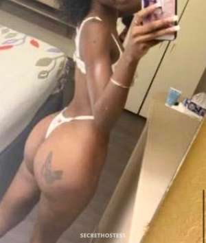 Coco 23Yrs Old Escort Image - 1