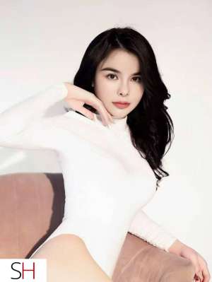 Colin 25Yrs Old Escort Laval Image - 2