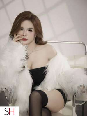 Colin 25Yrs Old Escort Laval Image - 6