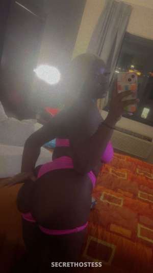 Marni 20Yrs Old Escort Brooklyn NY Image - 3