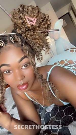 Brazil 29Yrs Old Escort Milwaukee WI Image - 3