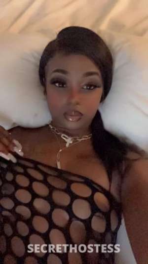 Brazil 29Yrs Old Escort Milwaukee WI Image - 5