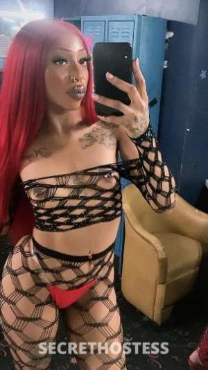 23 year old Escort in Las Vegas NV Suppa squirter