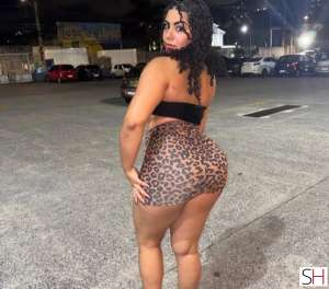 25 year old White Escort in Salgueiro Pernambuco 25Yrs Old White Escort Pernambuco