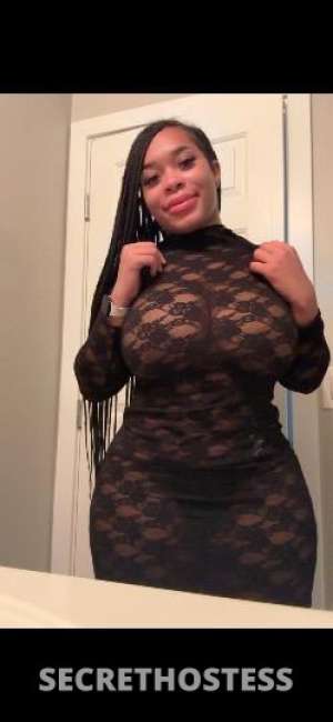 Ariel 24Yrs Old Escort Washington DC Image - 5