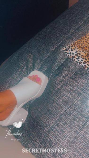 49Yrs Old Escort Size 14 Sunshine Coast Image - 8