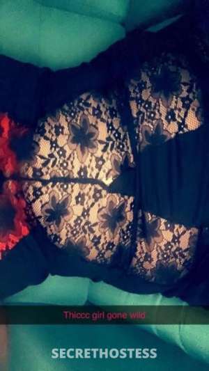 49Yrs Old Escort Size 14 Sunshine Coast Image - 1