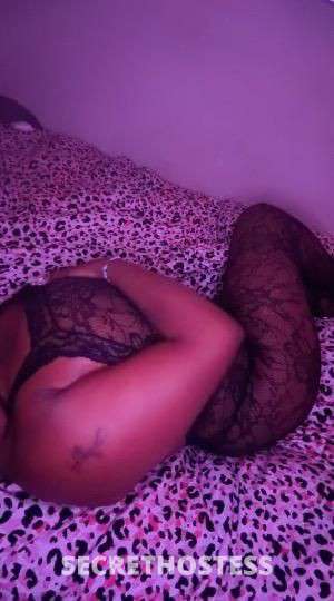 Stella 24Yrs Old Escort Image - 2