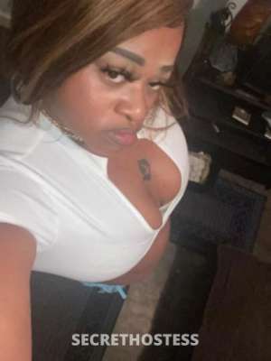 26 year old Escort in North Mississippi MS tupelo