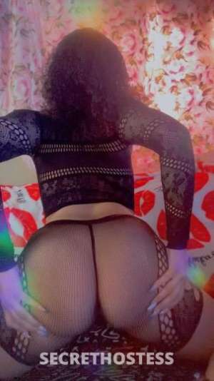 24 year old Escort in Los Angeles CA EXXXOTIC BEAUTY . ONE OF A KIND ..Available now