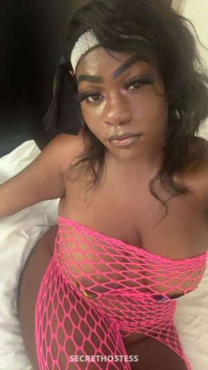 GENESIS 25Yrs Old Escort Image - 2