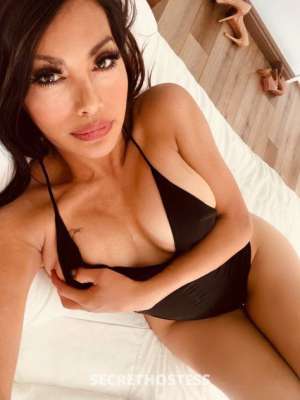 29 year old Hispanic Escort in San Buenaventura CA In Camarillo Sultry seductive erotic_exotic Latina kitten