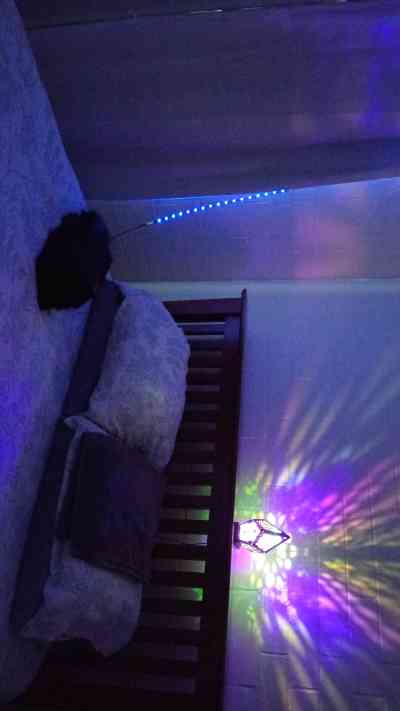 44Yrs Old Escort Size 16 90KG 155CM Tall Adelaide Image - 6
