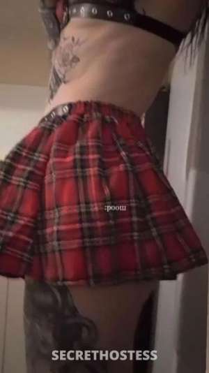28Yrs Old Escort Devonport Image - 1