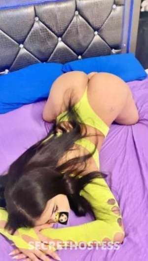 22 year old Latino Escort in Greek Freak ✅ 🍑 Big Booty Latina 🍑 | 100% Real Pics