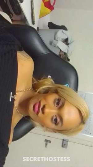 Lani 30Yrs Old Escort Lismore Image - 3