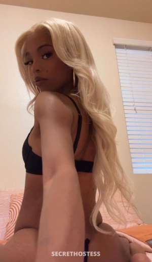 Leilani 26Yrs Old Escort Los Angeles CA Image - 8
