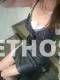 46Yrs Old Escort Size 8 Perth Image - 8