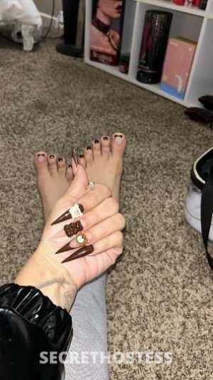Estephania 25Yrs Old Escort Santa Maria CA Image - 1