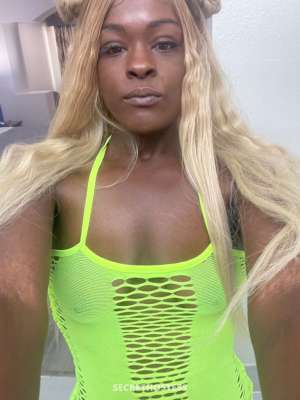 GoGoLexi 24Yrs Old Escort Chicago IL Image - 1
