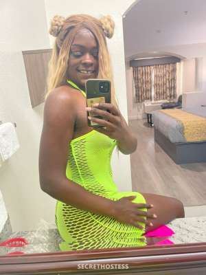GoGoLexi 24Yrs Old Escort Chicago IL Image - 2