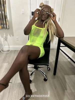 GoGoLexi 24Yrs Old Escort Chicago IL Image - 4