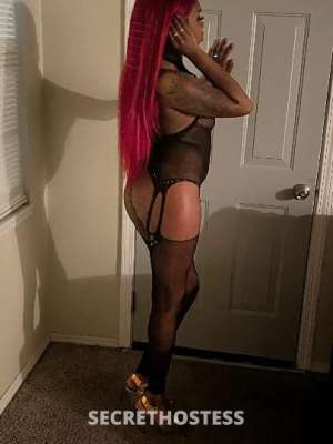 Kali 23Yrs Old Escort Image - 0