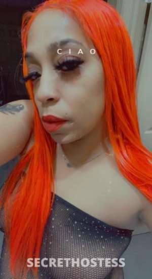 SHARDAE💋 33Yrs Old Escort Image - 1