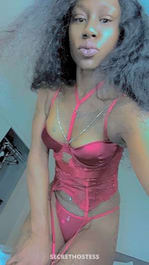 Layla 27Yrs Old Escort Phoenix AZ Image - 1