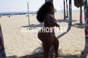 24Yrs Old Escort 79KG 157CM Tall Chicago IL Image - 3