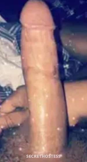 TSSweetz 24Yrs Old Escort Image - 4