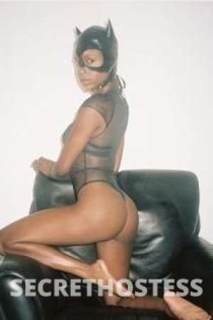 25 year old European Escort in Barcelona Kaddy