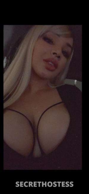 Kim 22Yrs Old Escort Reno NV Image - 5