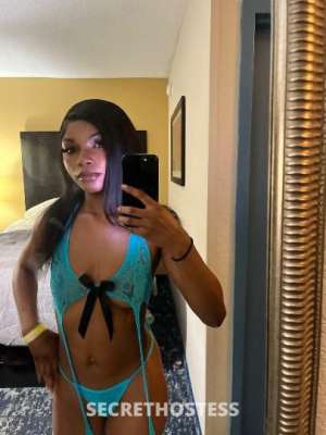 Layla 20Yrs Old Escort Miami FL Image - 2