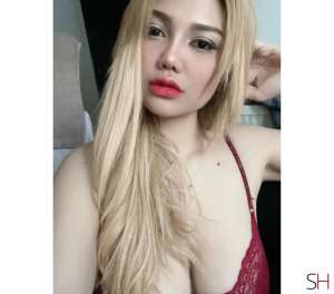 Kattie 26Yrs Old Escort Birmingham Image - 5