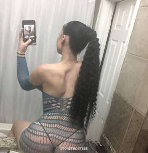 Roxi 21Yrs Old Escort Kitchener Image - 1
