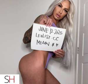 Megan Hudson 27Yrs Old Escort Size 8 Gatineau Image - 4