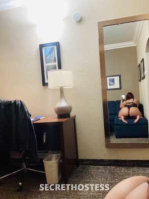 27Yrs Old Escort Image - 3