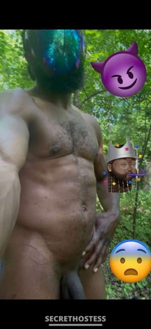 Polo 30Yrs Old Escort Milwaukee WI Image - 4