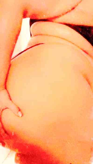 27Yrs Old Escort Size 20 200KG 51CM Tall Harker Height TX Image - 3