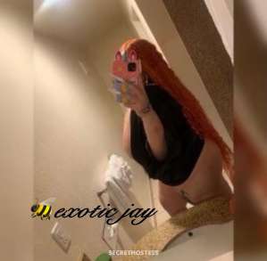 Exoticjay 33Yrs Old Escort San Buenaventura CA Image - 1