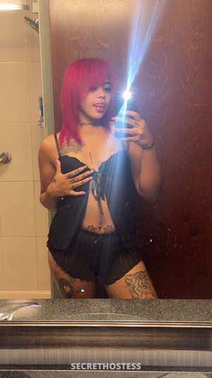 Malani 25Yrs Old Escort Decatur IL Image - 8
