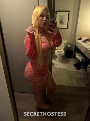 Bella 23Yrs Old Escort 160CM Tall Tampa FL Image - 7